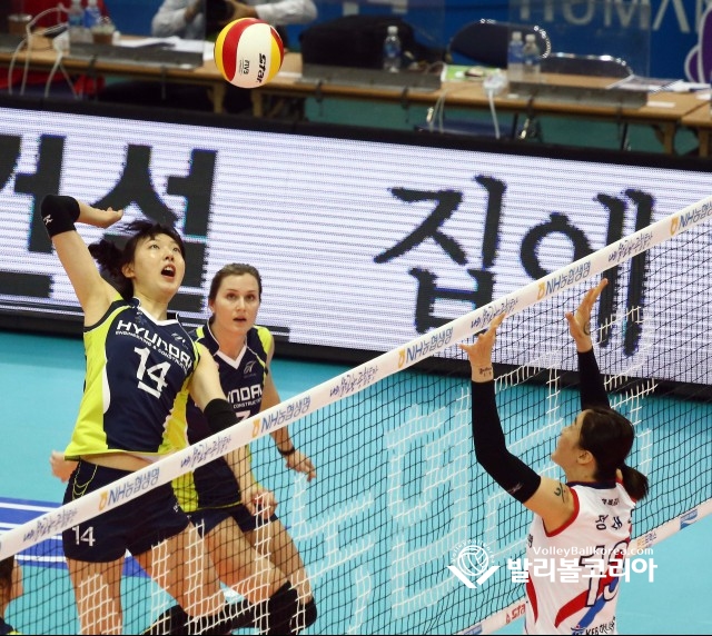 양효진의 공격.
