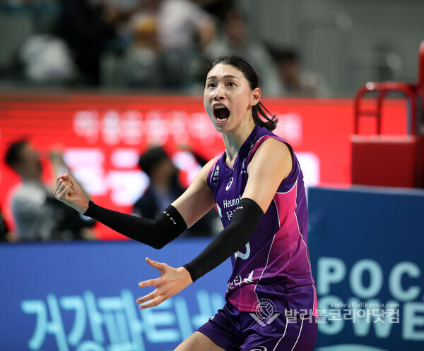 배구여제 김연경의 포효 흥국생명 3 0 완승